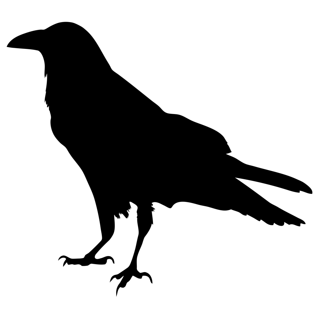 crow