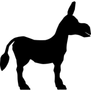 donkey