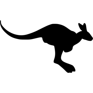 kangaroo
