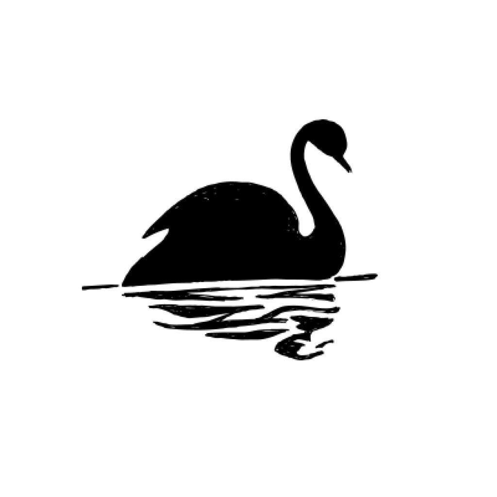 swan
