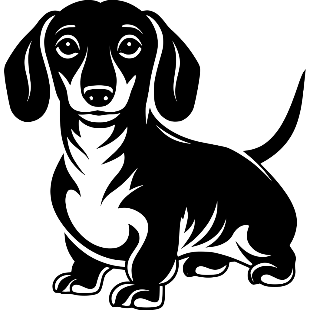 Sausage dog