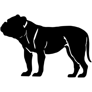 bulldog