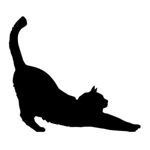 cat stretching
