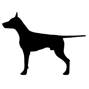 doberman