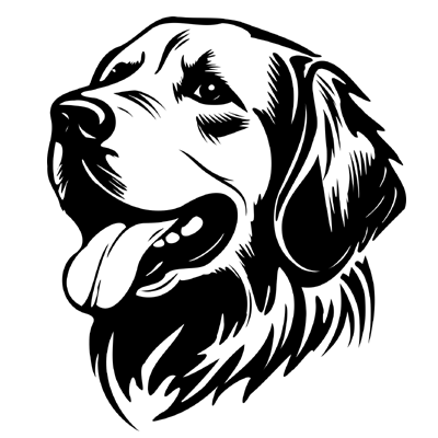 golden_rtvr