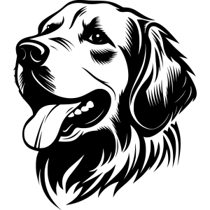 retreiver