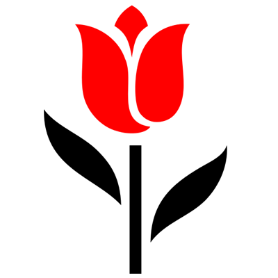 red_rose