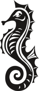 seahorse