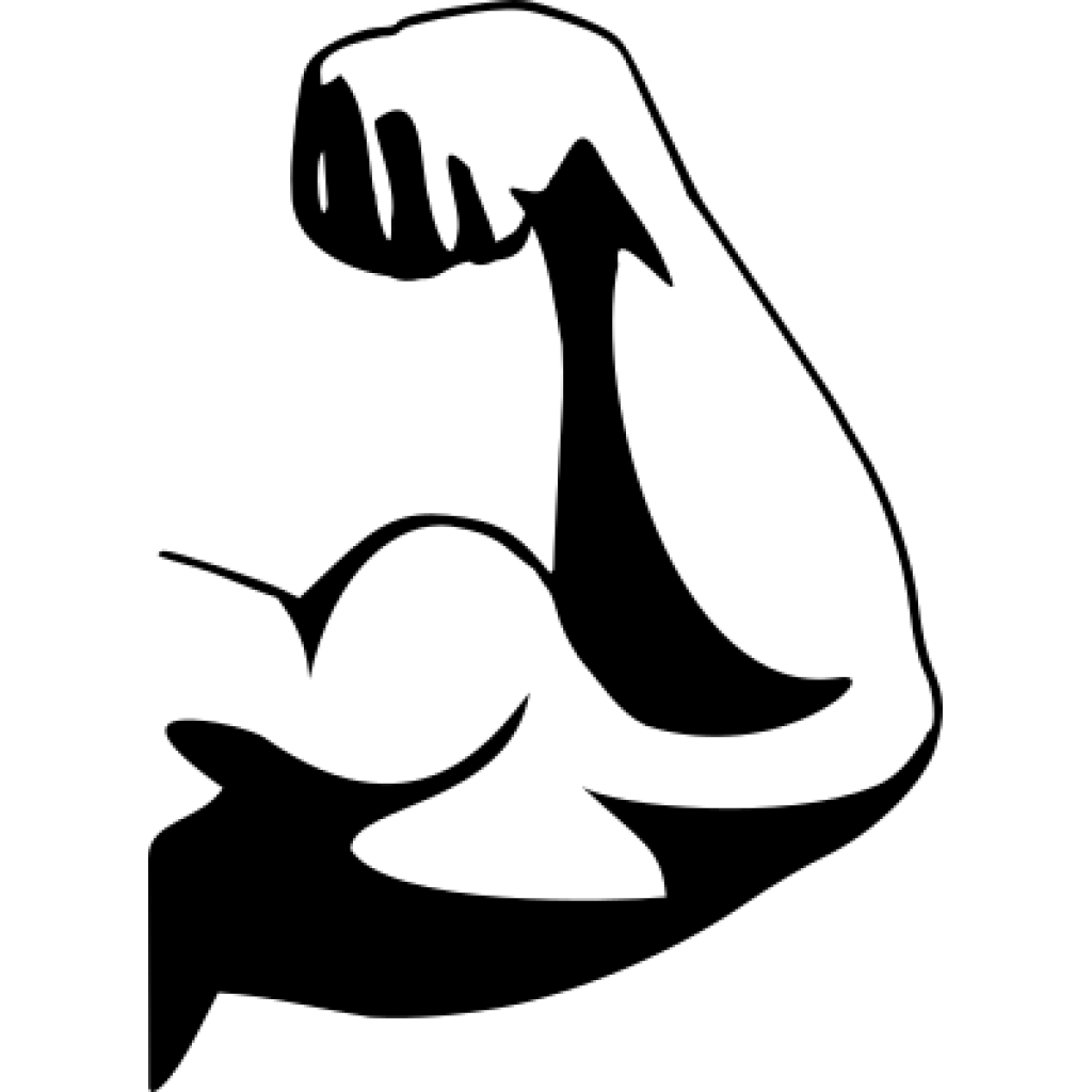 muscle