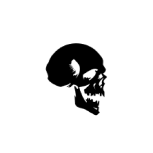 skull