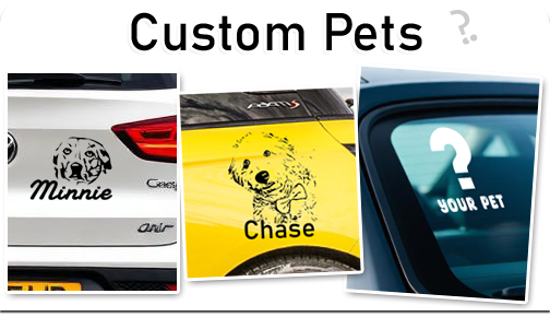 v_custom